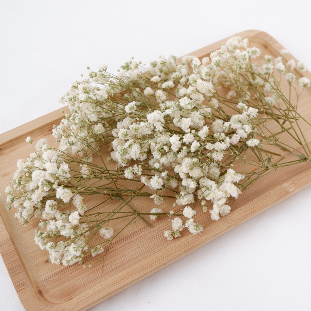 Flower Girl Basket - Suszone kwiaty białe mini suszona gipsówka